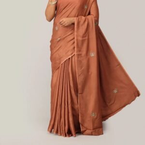Cinnamon Brown Embroidered Saree